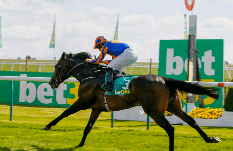 For Three конни надбягвания bet365